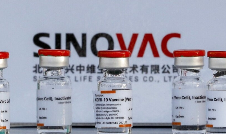 Anticuerpos de vacuna anticovid Sinovac se disipan en 6 meses, revela estudio