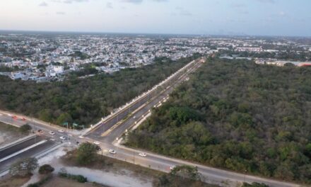 Desentrañando el Misterio de la ‘Carretera Chueca’ en Playa del Carmen