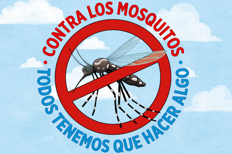 ¡SUCESO te da las Mejores Precauciones y Consejos para Prevenir el Dengue!